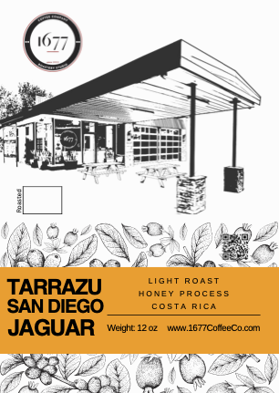 COSTA RICA (Tarrazu San Diego Jaguar) Honey Process